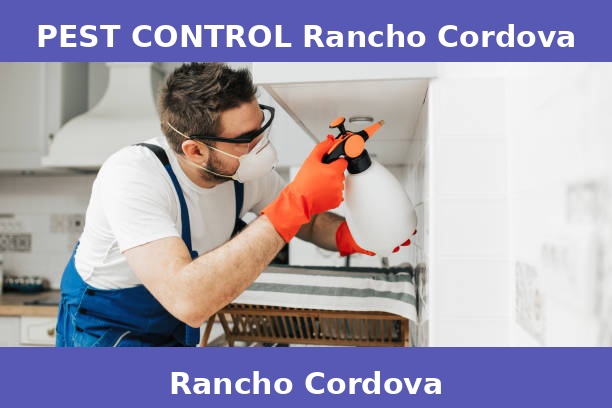 PEST CONTROL Rancho Cordova